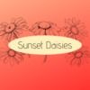 sunsetdaisies